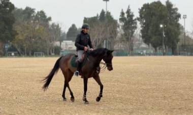 El Jockey Club Rosario se prepara para recibir las tres disciplinas ecuestres de los Juegos Suramericanos