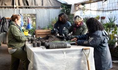 Juegos Suramericanos: se producen más de 18 mil plantines para embellecer los espacios públicos